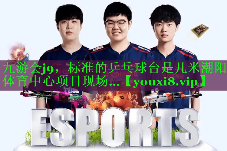 九游会j9，标准的乒乓球台是几米潮阳体育中心项目现场…