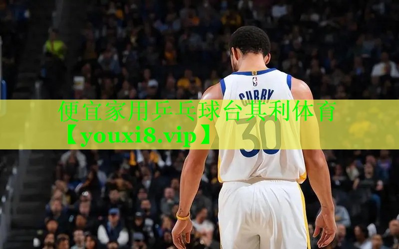 便宜家用乒乓球台其利体育