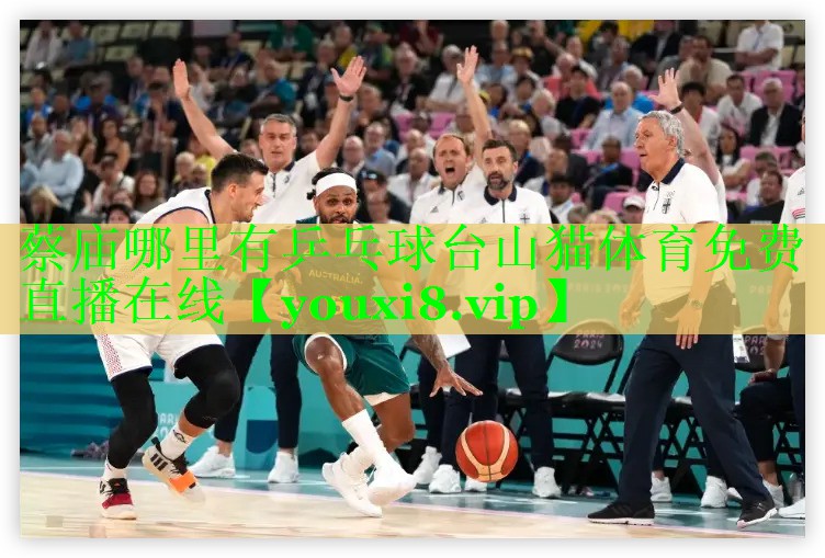 蔡庙哪里有乒乓球台山猫体育免费直播在线