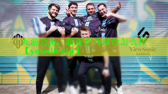 新亚乒乓球台怎么样
